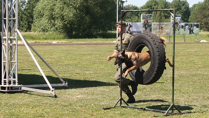 Algeria tổ chức họp chuẩn bị cuộc thi “Người bạn trung thành”

